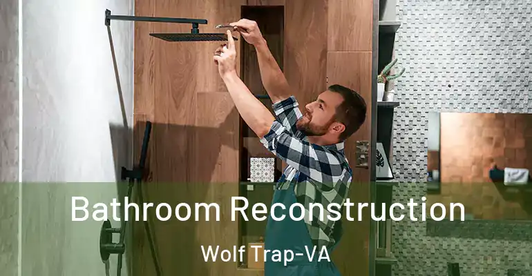 inner Bathroom imggen Bathroom Reconstruction Wolf Trap-VA