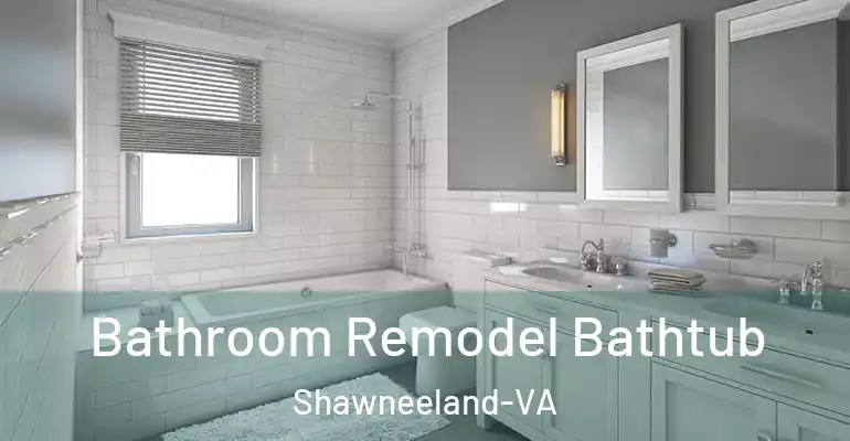 inner Bathroom imggen Bathroom Remodel Bathtub Shawneeland-VA