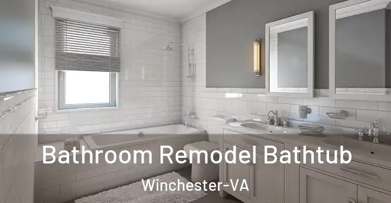 inner Bathroom imggen Bathroom Remodel Bathtub Winchester-VA