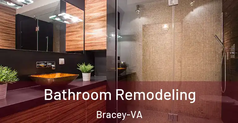 inner Bathroom imggen Bathroom Remodeling Bracey-VA