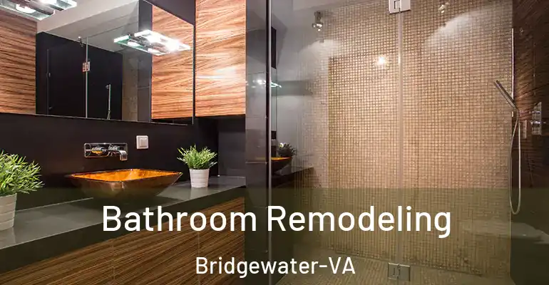 inner Bathroom imggen Bathroom Remodeling Bridgewater-VA