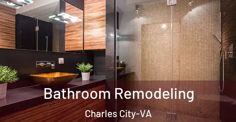 inner Bathroom imggen Bathroom Remodeling Charles City-VA