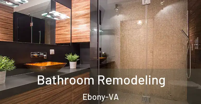 inner Bathroom imggen Bathroom Remodeling Ebony-VA
