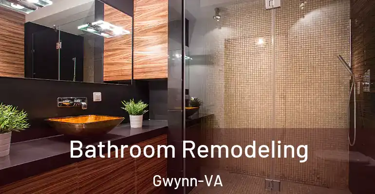 inner Bathroom imggen Bathroom Remodeling Gwynn-VA
