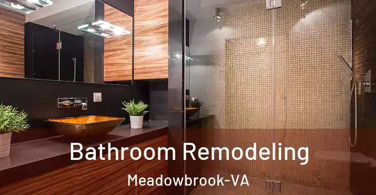 inner Bathroom imggen Bathroom Remodeling Meadowbrook-VA