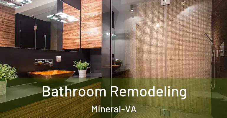 inner Bathroom imggen Bathroom Remodeling Mineral-VA