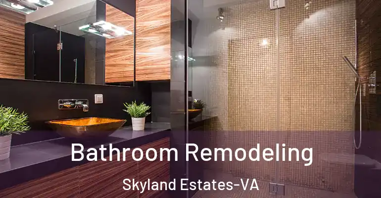 inner Bathroom imggen Bathroom Remodeling Skyland Estates-VA
