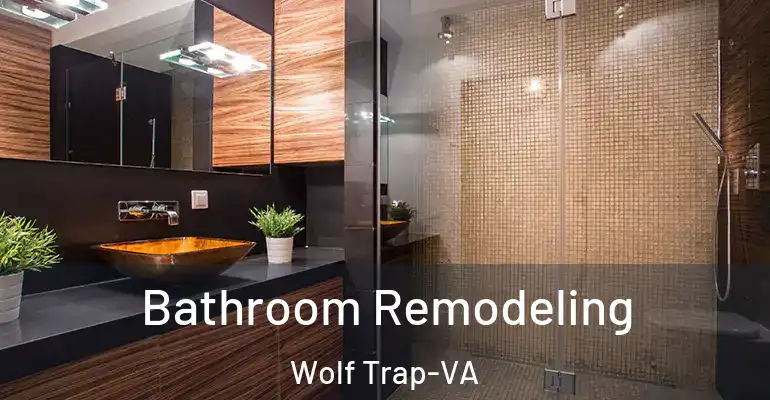 inner Bathroom imggen Bathroom Remodeling Wolf Trap-VA