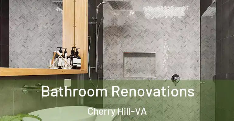 inner Bathroom imggen Bathroom Renovations Cherry Hill-VA