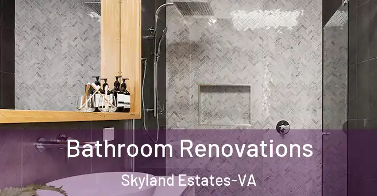 inner Bathroom imggen Bathroom Renovations Skyland Estates-VA