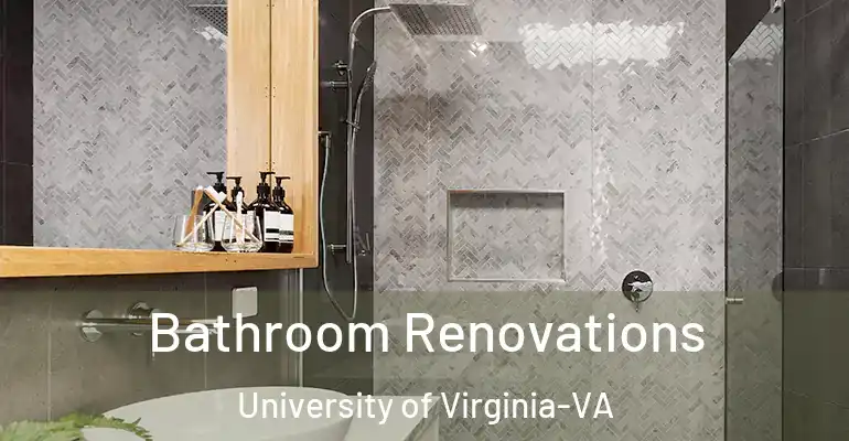 inner Bathroom imggen Bathroom Renovations University of Virginia-VA