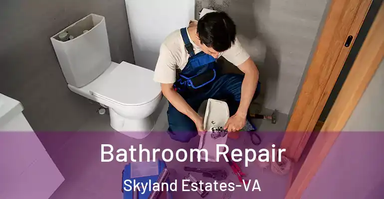 inner Bathroom imggen Bathroom Repair Skyland Estates-VA