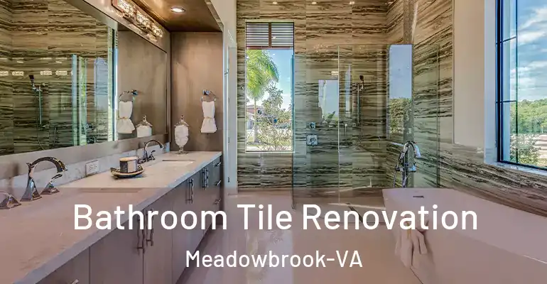 inner Bathroom imggen Bathroom Tile Renovation Meadowbrook-VA