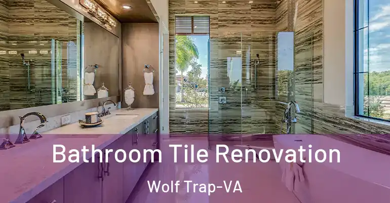 inner Bathroom imggen Bathroom Tile Renovation Wolf Trap-VA