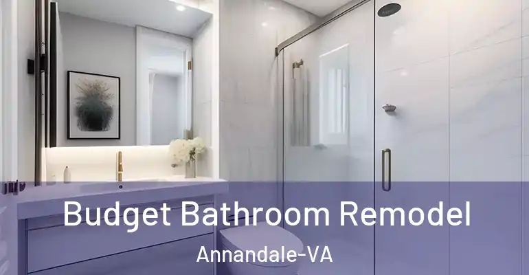 inner Bathroom imggen Budget Bathroom Remodel Annandale-VA