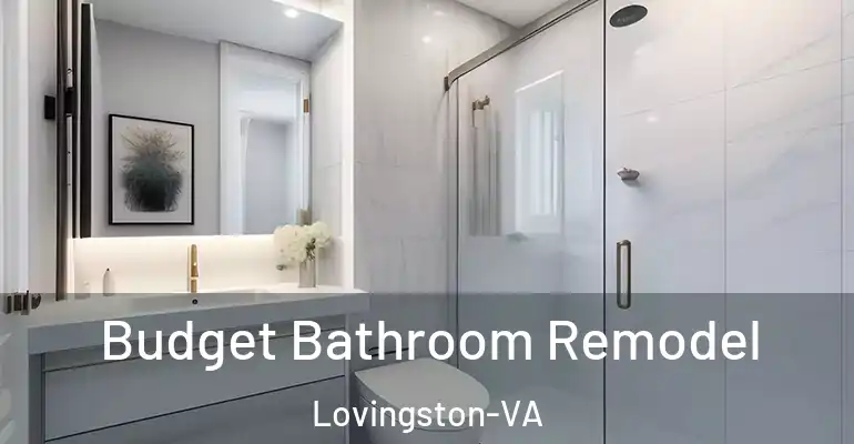 inner Bathroom imggen Budget Bathroom Remodel Lovingston-VA