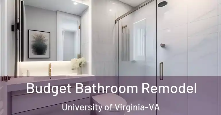 inner Bathroom imggen Budget Bathroom Remodel University of Virginia-VA