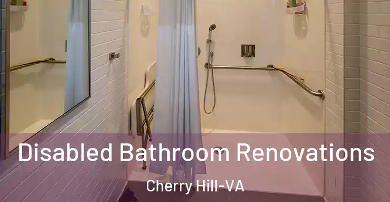 inner Bathroom imggen Disabled Bathroom Renovations Cherry Hill-VA