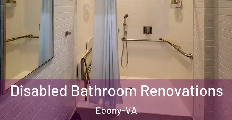 inner Bathroom imggen Disabled Bathroom Renovations Ebony-VA