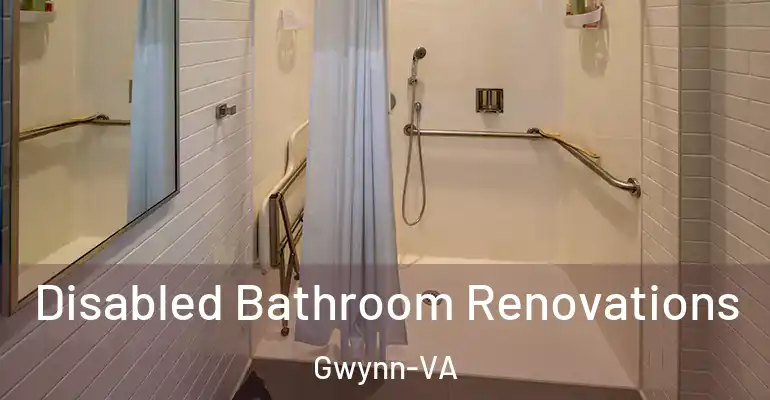 inner Bathroom imggen Disabled Bathroom Renovations Gwynn-VA