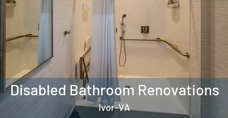 inner Bathroom imggen Disabled Bathroom Renovations Ivor-VA