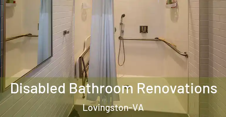 inner Bathroom imggen Disabled Bathroom Renovations Lovingston-VA