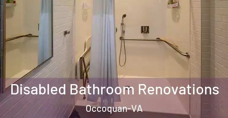 inner Bathroom imggen Disabled Bathroom Renovations Occoquan-VA