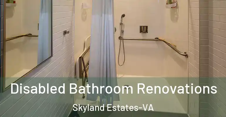 inner Bathroom imggen Disabled Bathroom Renovations Skyland Estates-VA