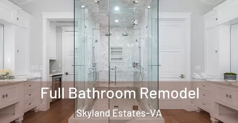 inner Bathroom imggen Full Bathroom Remodel Skyland Estates-VA