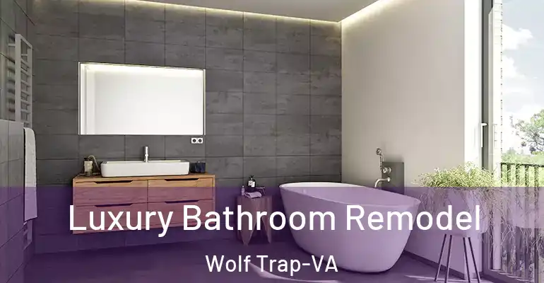 inner Bathroom imggen Luxury Bathroom Remodel Wolf Trap-VA