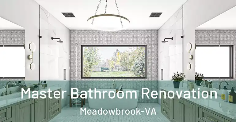 inner Bathroom imggen Master Bathroom Renovation Meadowbrook-VA