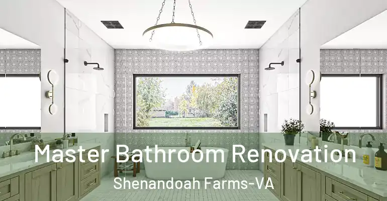 inner Bathroom imggen Master Bathroom Renovation Shenandoah Farms-VA