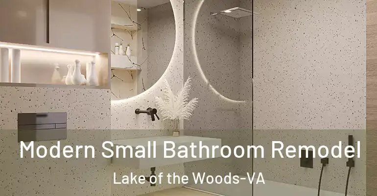 inner Bathroom imggen Modern Small Bathroom Remodel Lake of the Woods-VA