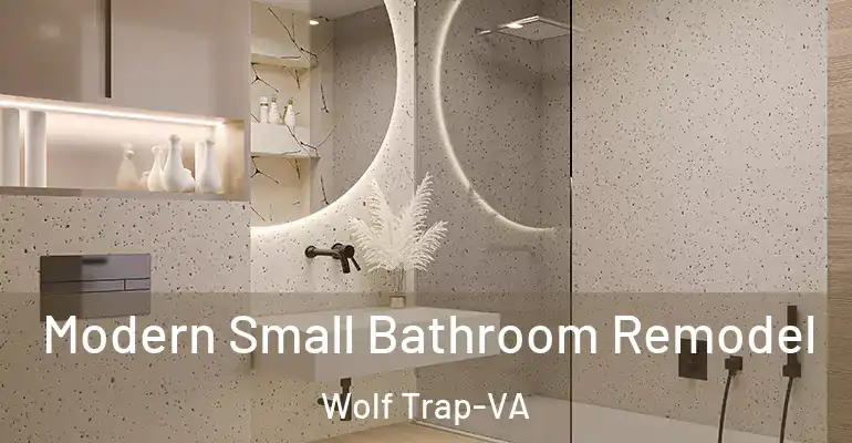 inner Bathroom imggen Modern Small Bathroom Remodel Wolf Trap-VA