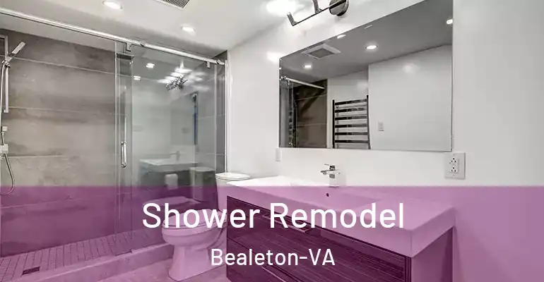 inner Bathroom imggen Shower Remodel Bealeton-VA