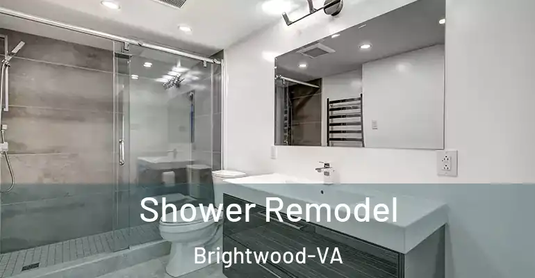inner Bathroom imggen Shower Remodel Brightwood-VA