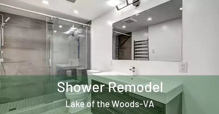 inner Bathroom imggen Shower Remodel Lake of the Woods-VA