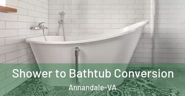 inner Bathroom imggen Shower to Bathtub Conversion Annandale-VA