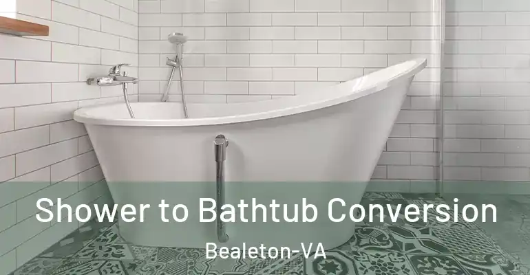 inner Bathroom imggen Shower to Bathtub Conversion Bealeton-VA
