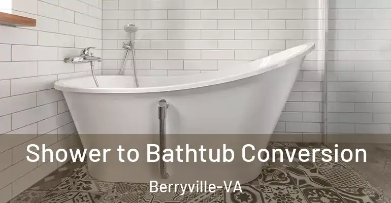 inner Bathroom imggen Shower to Bathtub Conversion Berryville-VA