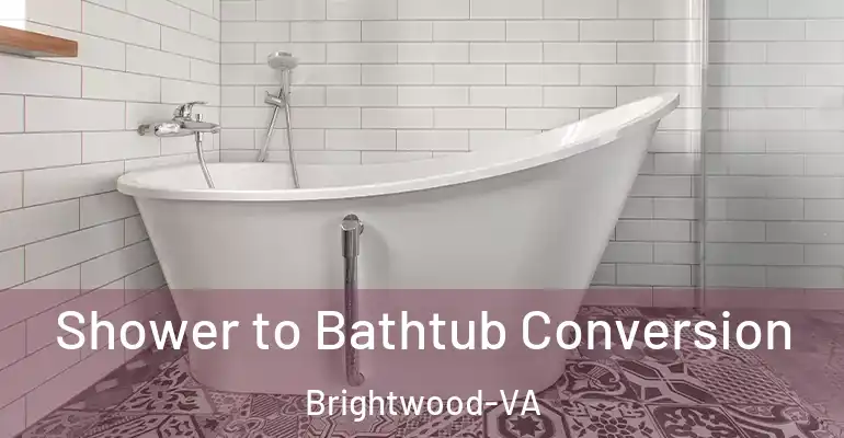 inner Bathroom imggen Shower to Bathtub Conversion Brightwood-VA
