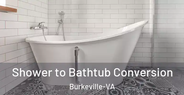 inner Bathroom imggen Shower to Bathtub Conversion Burkeville-VA
