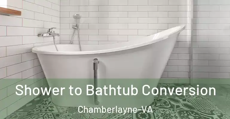 inner Bathroom imggen Shower to Bathtub Conversion Chamberlayne-VA