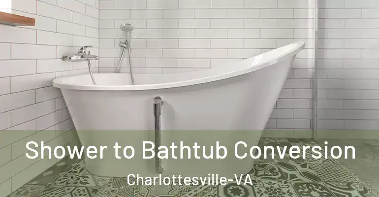 inner Bathroom imggen Shower to Bathtub Conversion Charlottesville-VA