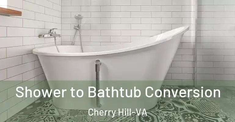 inner Bathroom imggen Shower to Bathtub Conversion Cherry Hill-VA