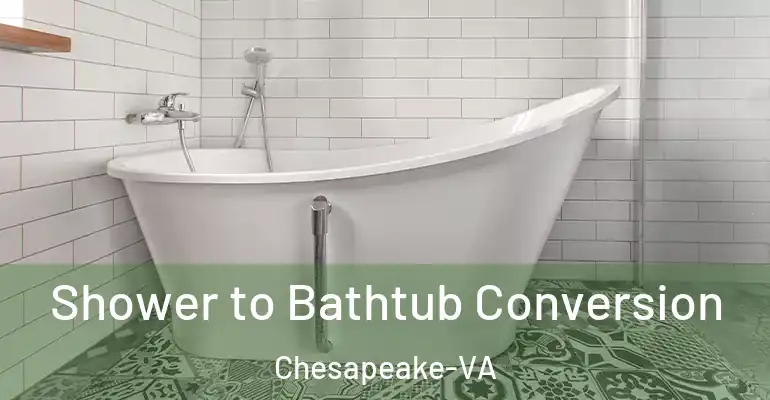 inner Bathroom imggen Shower to Bathtub Conversion Chesapeake-VA