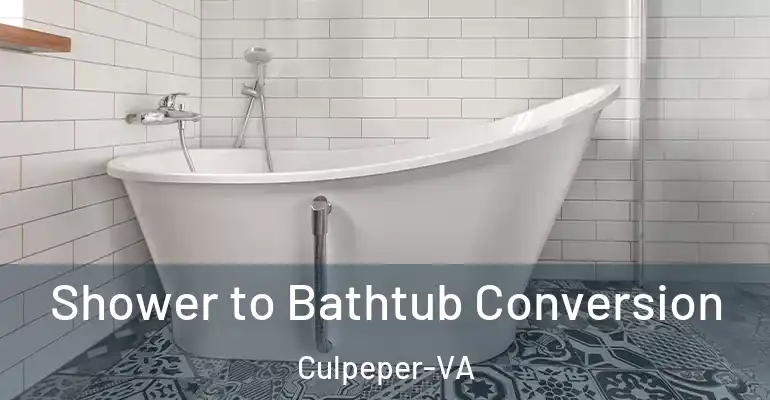 inner Bathroom imggen Shower to Bathtub Conversion Culpeper-VA