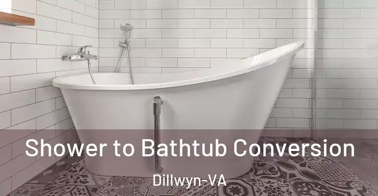 inner Bathroom imggen Shower to Bathtub Conversion Dillwyn-VA