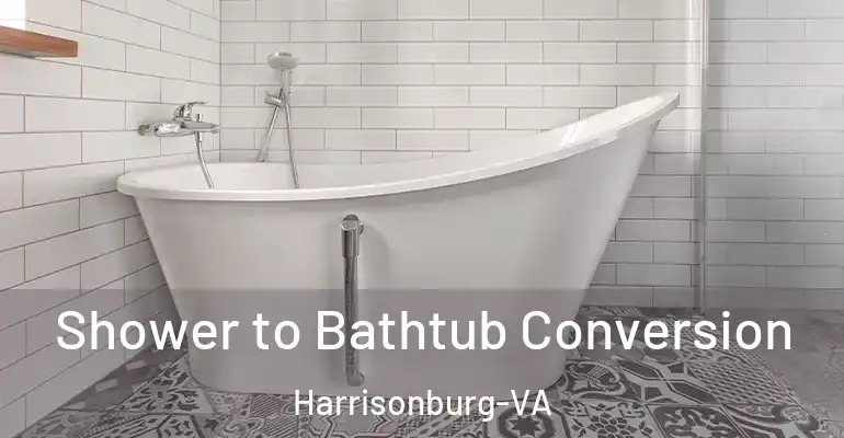 inner Bathroom imggen Shower to Bathtub Conversion Harrisonburg-VA