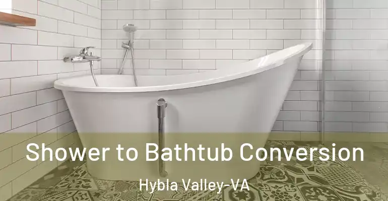 inner Bathroom imggen Shower to Bathtub Conversion Hybla Valley-VA